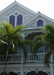 Palms and Porch